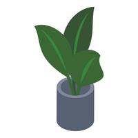 Office plant pot icon, isometric style vector