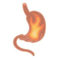 Stomach fire icon, isometric style vector