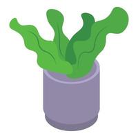 Office plant pot icon, isometric style vector