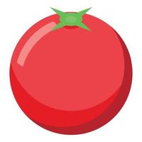 Fresh tomato icon, isometric style vector