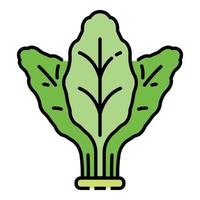 Fresh spinach icon color outline vector