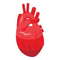 Red human heart icon, isometric style vector