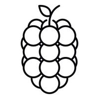 Sweet raspberry icon, outline style vector