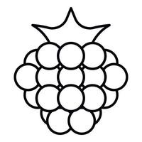 Natural raspberry icon, outline style vector