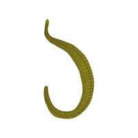 Legless lizard or snake. Vector illustration in hand drawn style