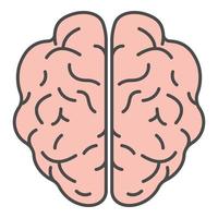 Top view brain icon color outline vector