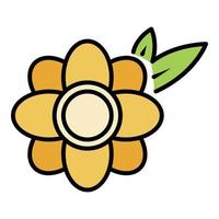 Honey flower icon color outline vector