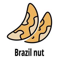 vector de contorno de color de icono de nuez de brasil