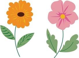 Vector hand drawn field flowers isolated on white background liner