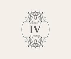 colección de logotipos de monograma de boda con letras iniciales iv, plantillas florales y minimalistas modernas dibujadas a mano para tarjetas de invitación, guardar la fecha, identidad elegante para restaurante, boutique, café en vector