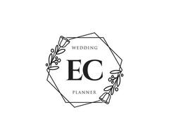 Initial EC feminine logo. Usable for Nature, Salon, Spa, Cosmetic and Beauty Logos. Flat Vector Logo Design Template Element.