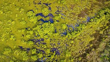 Aerial view of salt water lagoon photo