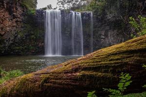 Long exposure waterfall, Dorrigo NSW Australia photo