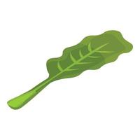 Cabbage leaf icon, isometric style vector