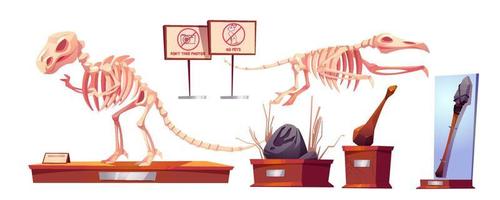 Dinosaur fossils in history museum dino skeletons vector