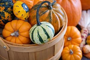 Pumpkins and variety of squash photo