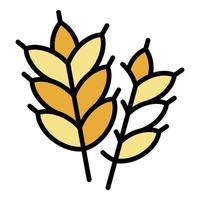 Wheat plant icon color outline vector