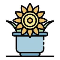 Sunflower plant pot icon color outline vector