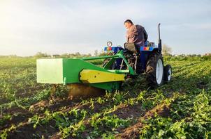 Farmer digs out a crop of potatoes with a digger. Harvest first potatoes in early spring. Farming and farmland. Harvesting mechanization in developing countries. Agro industry and agribusiness. photo