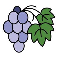 Cabernet grape icon color outline vector