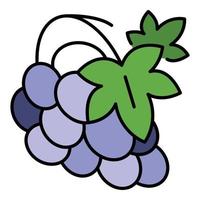 Vineyard grape icon color outline vector