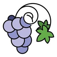 vector de contorno de color de icono de uva de vino