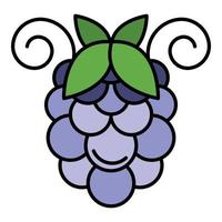 Bunch of grapes icon color outline vector