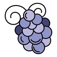 Merlot grape icon color outline vector