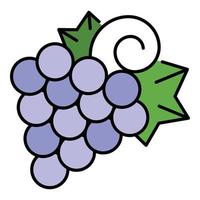 vector de contorno de color de icono de uva vitis