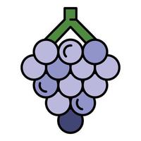 Raw grape icon color outline vector