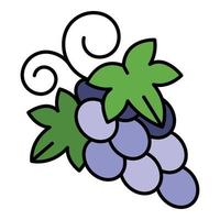 Table grape icon color outline vector