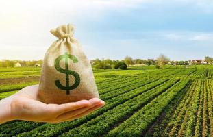 Dollar money bag on farm field. Lending and subsidizing farmers. Grants, financial support. Agribusiness profit. Land tax. Agricultural startups. Secured loan. Investment. Land value valuation. photo
