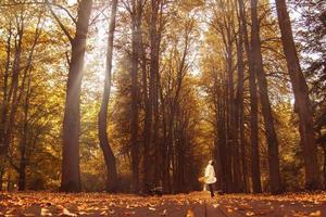 girl walking in the park in autumn photo