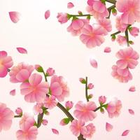 Peach Flower Blossom Background vector