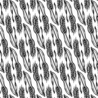 pattern with wheat isolated on white background vector