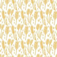 pattern with wheat isolated on white background vector