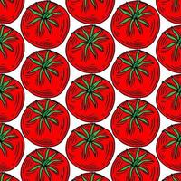 pattern of red hand drawn tomatoes, tomato slices on a white background. Vector illustration