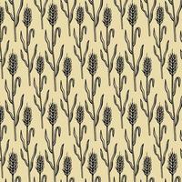 pattern with wheat isolated on white background vector