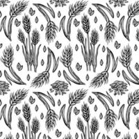 pattern with wheat isolated on white background vector