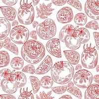 pattern of red hand drawn tomatoes, tomato slices on a white background. Vector illustration