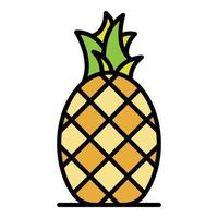 Tasty pineapple icon color outline vector