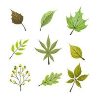 conjunto de hojas y bayas verdes de verano. aislado sobre fondo blanco. diseño simple. ilustración vectorial en estilo plano. vector