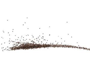 Chia seeds foll on white background photo