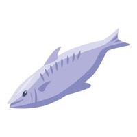 Mink fish icon, isometric style vector