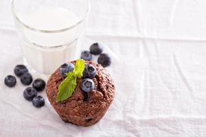 Chocolate muffin with blueberries photo