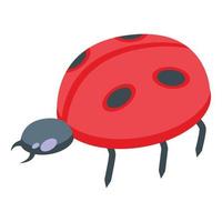 Lucky ladybug icon, isometric style vector