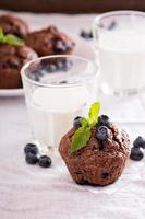 Chocolate muffins with blueberries photo