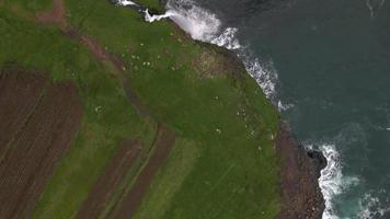 mulafossur cascata su vagabondo nel Faroe isole di fuco 3 video
