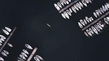 Rower in Trieste, Italy by Drone video