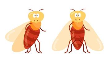 cartoon character cicada in full face and profile, insect vector